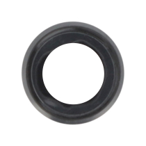Lentille Caméra Arrière Noire iPhone 6S Plus