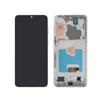 Ecran Complet Argent Galaxy S21+ 5G (G996B) (ReLife)