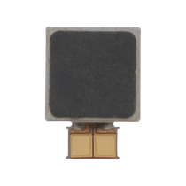 Vibreur Galaxy S21 Ultra 5G (G998B)